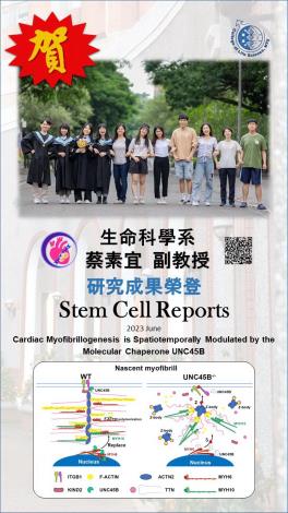 生命科學系蔡素宜副教授研究成果榮登Stem Cell Reports